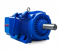 WN Motor products